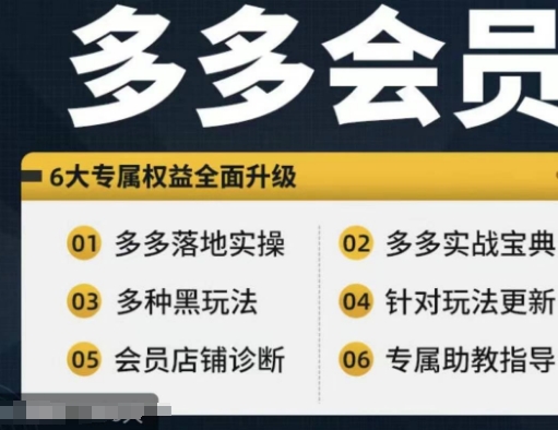 拼多多会员，拼多多实战宝典+实战落地实操，从新手到高阶内容全面覆盖_豪客资源库