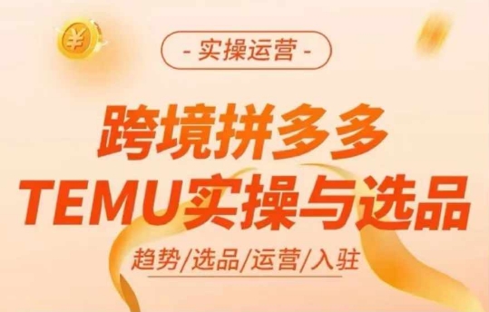 跨境拼多多TEMU实操与选品，多多temu跨境选品运营实操_豪客资源库