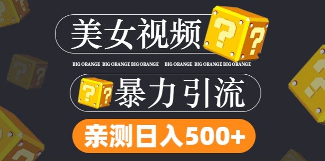 搬运tk美女视频全网分发，日引s粉300+，轻松变现，不限流量不封号【揭秘】_豪客资源库