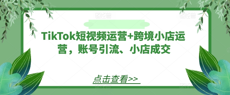 TikTok短视频运营+跨境小店运营，账号引流、小店成交_豪客资源库