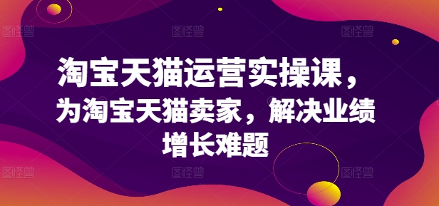 淘宝天猫运营实操课，为淘宝天猫卖家，解决业绩增长难题_豪客资源库