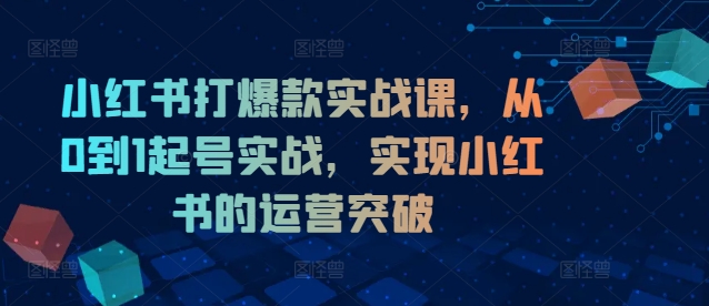 小红书打爆款实战课，从0到1起号实战，实现小红书的运营突破_豪客资源库