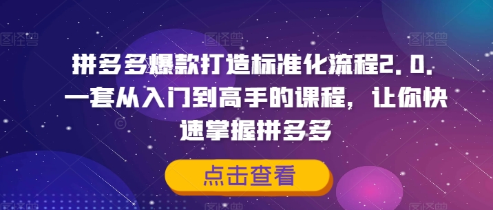 拼多多爆款打造标准化流程2.0，一套从入门到高手的课程，让你快速掌握拼多多_豪客资源库