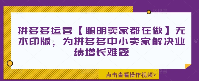 拼多多运营【聪明卖家都在做】无水印版，为拼多多中小卖家解决业绩增长难题_豪客资源库