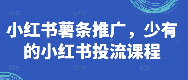 小红书薯条推广，少有的小红书投流课程_豪客资源库