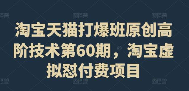 淘宝天猫打爆班原创高阶技术第60期，淘宝虚拟怼付费项目_豪客资源库