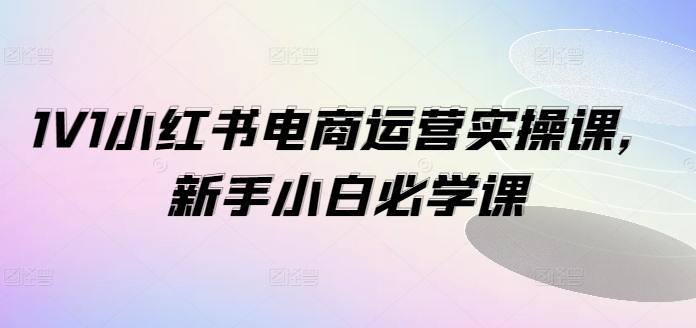 1V1小红书电商运营实操课，新手小白必学课_豪客资源库