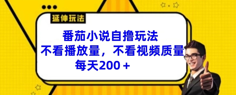 番茄小说自撸玩法，不看播放量，不看视频质量，每天200+【揭秘】_豪客资源库