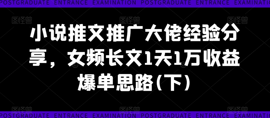 小说推文推广大佬经验分享，女频长文1天1万收益爆单思路(下)_豪客资源库