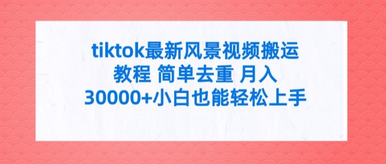 tiktok最新风景视频搬运教程 简单去重 月入3W+小白也能轻松上手【揭秘】_豪客资源库