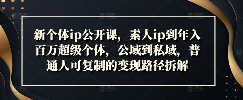 新个体ip公开课，素人ip到年入百万超级个体，公域到私域，普通人可复制的变现路径拆解_豪客资源库