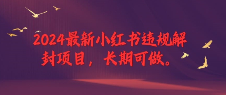 2024最新小红书违规解封项目，长期可做，一个可以做到退休的项目【揭秘】_豪客资源库