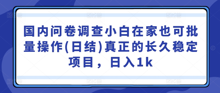 国内问卷调查小白在家也可批量操作(日结)真正的长久稳定项目，日入1k【揭秘】_豪客资源库