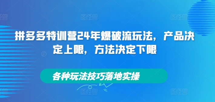 拼多多特训营24年爆破流玩法，产品决定上限，方法决定下限，各种玩法技巧落地实操_豪客资源库