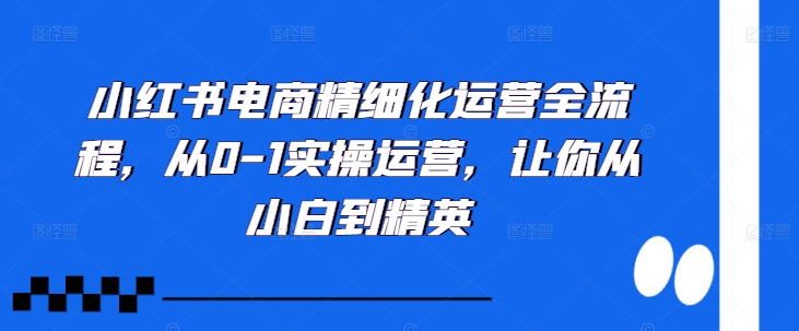 小红书电商精细化运营全流程，从0-1实操运营，让你从小白到精英_豪客资源库