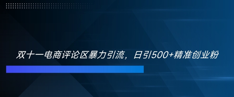 双十一电商评论区暴力引流，日引500+精准创业粉【揭秘】_豪客资源库