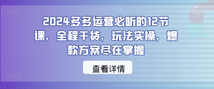 2024多多运营必听的12节课，全程干货，玩法实操，爆款方案尽在掌握_豪客资源库