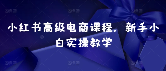 小红书高级电商课程，新手小白实操教学_豪客资源库