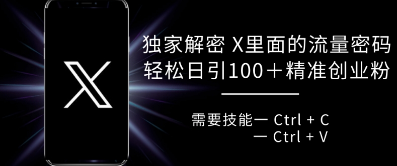 独家解密 X 里面的流量密码，复制粘贴轻松日引100+_豪客资源库