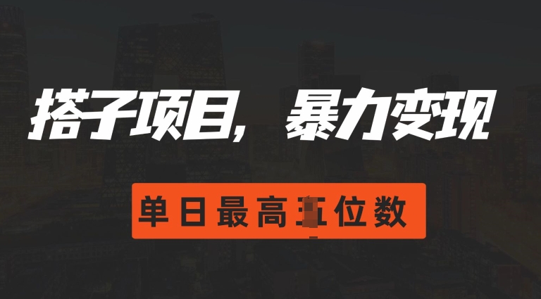 2024搭子玩法，0门槛，暴力变现，单日最高破四位数【揭秘】_豪客资源库