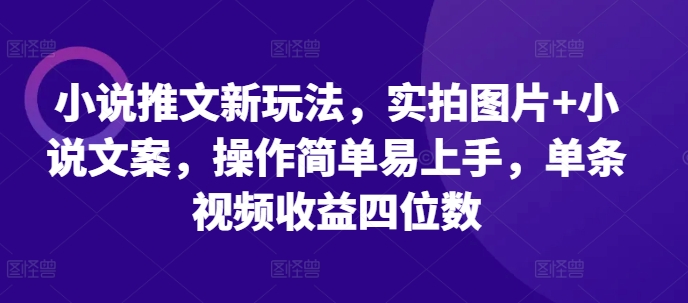 小说推文新玩法，实拍图片+小说文案，操作简单易上手，单条视频收益四位数_豪客资源库