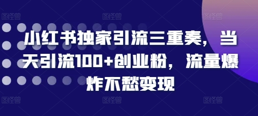 小红书独家引流三重奏，当天引流100+创业粉，流量爆炸不愁变现【揭秘】_豪客资源库