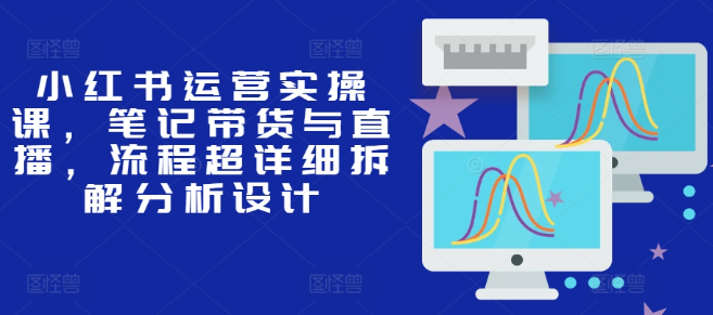 小红书运营实操课，笔记带货与直播，流程超详细拆解分析设计_豪客资源库