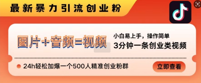 抖音最新暴力引流创业粉，3分钟一条创业类视频，24h轻松加爆一个500人精准创业粉群【揭秘】_豪客资源库