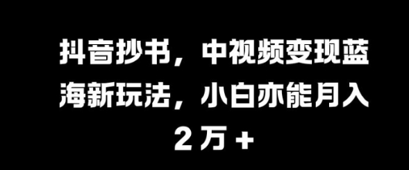 抖音抄书，中视频变现蓝海新玩法，小白亦能月入 过W【揭秘】_豪客资源库