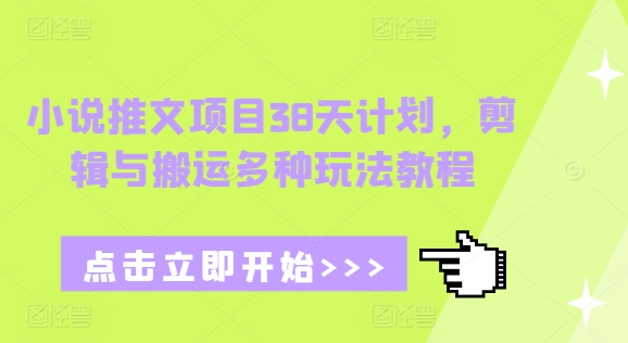 小说推文项目38天计划，剪辑与搬运多种玩法教程_豪客资源库