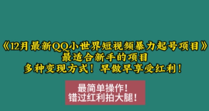 12月最新QQ小世界短视频暴力起号项目，最适合新手的项目，多种变现方式_豪客资源库