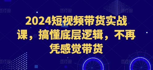 2024短视频带货实战课，搞懂底层逻辑，不再凭感觉带货_豪客资源库