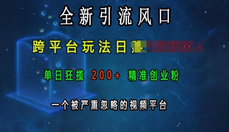 全新引流风口，跨平台玩法日入上k，单日狂揽200+精准创业粉，一个被严重忽略的视频平台_豪客资源库