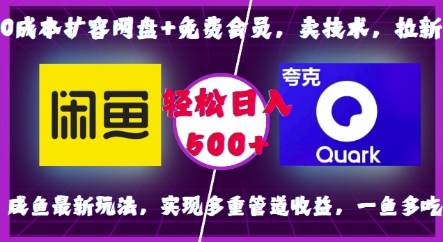 0成本扩容网盘+免费会员，卖技术，拉新，咸鱼最新玩法，实现多重管道收益，一鱼多吃，轻松日入500+_豪客资源库