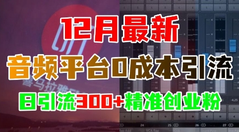 12月最新：音频平台0成本引流，日引流300+精准创业粉_豪客资源库