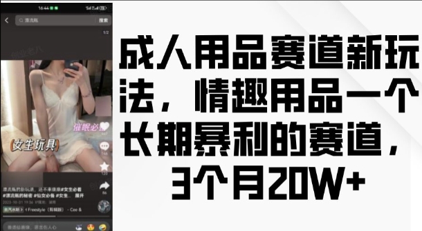 成人用品赛道新玩法，情趣用品一个长期暴利的赛道，3个月收益20个【揭秘】_豪客资源库