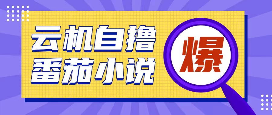 首发云手机自撸小说玩法，10块钱成本可撸200+收益操作简单【揭秘】_豪客资源库