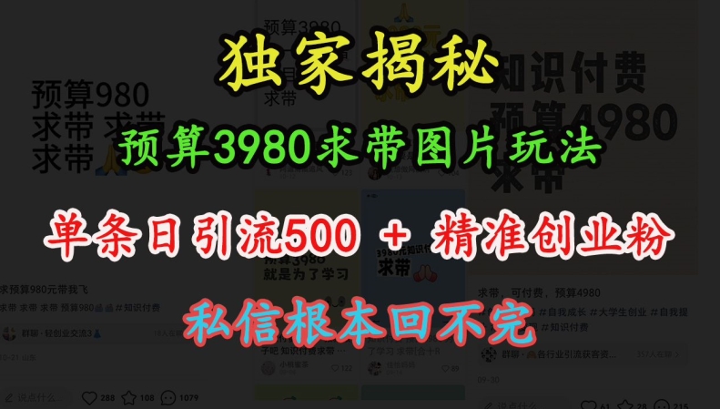 预算3980求带 图片玩法，单条日引流500+精准创业粉，私信根本回不完_豪客资源库