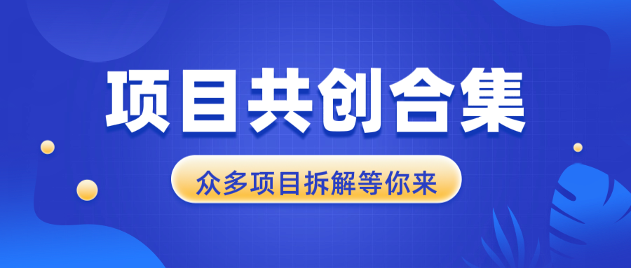 项目共创合集，从0-1全过程拆解，让你迅速找到适合自已的项目_豪客资源库