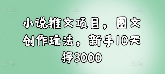 小说推文项目，图文创作玩法，新手10天挣3000_豪客资源库