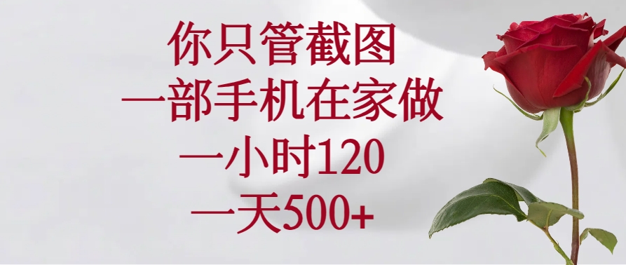 （14248期）你只管截图，一部手机在家做，一小时120，一天500+_豪客资源创业项目网-豪客资源_豪客资源库