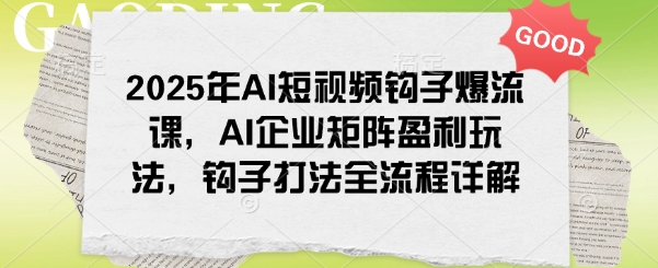 2025年AI短视频钩子爆流课，AI企业矩阵盈利玩法，钩子打法全流程详解——豪客资源创业项目网-豪客资源_豪客资源库