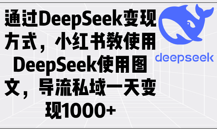 （14179期）通过DeepSeek变现方式，小红书教使用DeepSeek图文，导流私域一天变现1000+_豪客资源创业项目网-豪客资源_豪客资源库