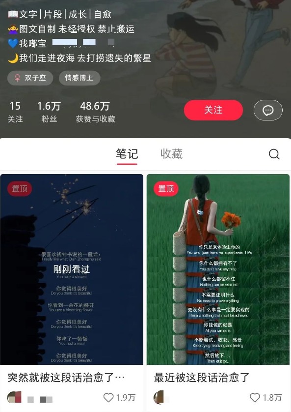 小红书治愈文案图文笔记，零门槛，一分钟制作轻松制作爆款作品月入万元_豪客资源创业网-豪客资源_豪客资源库