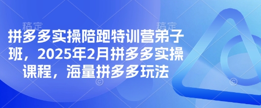 拼多多实操陪跑特训营弟子班，2025年2月拼多多实操课程，海量拼多多玩法——豪客资源创业项目网-豪客资源_豪客资源库