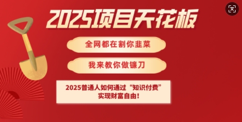 2025项目天花板普通人如何通过知识付费，实现财F自由【揭秘】——豪客资源创业项目网-豪客资源_豪客资源库