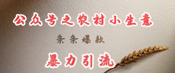 deepseek写农村小项目，条条爆款，暴力引流——豪客资源创业项目网-豪客资源_豪客资源库