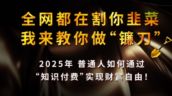 全网都在割你韭菜，我来教你做镰刀，2025普通人如何通过知识付费，实现财F自由【揭秘】——豪客资源创业项目网-豪客资源_豪客资源库