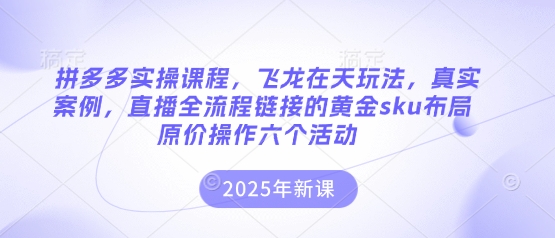 拼多多实操课程，飞龙在天玩法，真实案例，直播全流程链接的黄金sku布局原价操作六个活动——豪客资源创业项目网-豪客资源_豪客资源库