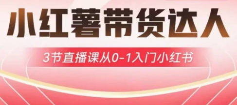 小红薯达人带货启航计划，3节直播课从0-1入门小红书——豪客资源创业项目网-豪客资源_豪客资源库